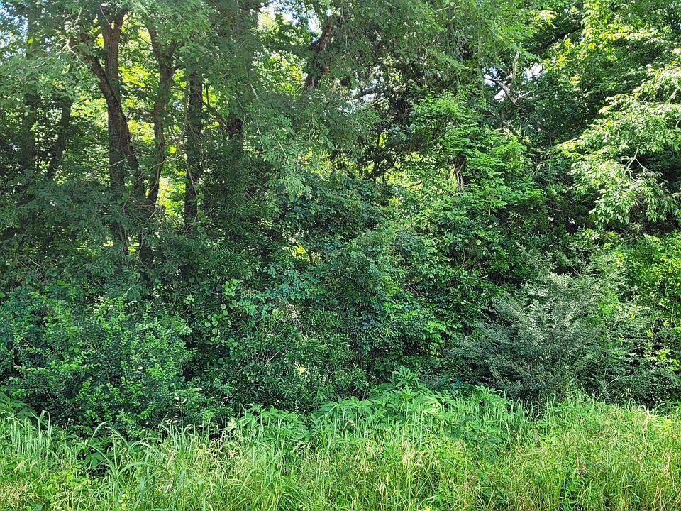 1st image of Old Port Gibson Road Bush Btm