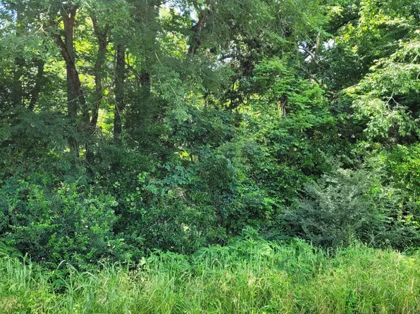 Old Port Gibson Road Bush Btm, Edwards, MS 39066