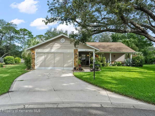 6123 Turnburry Ct, Spring Hill, FL 34606