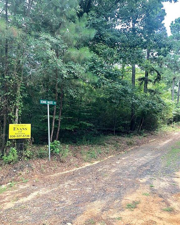 1st image of 162 Bonnie Maude Blvd