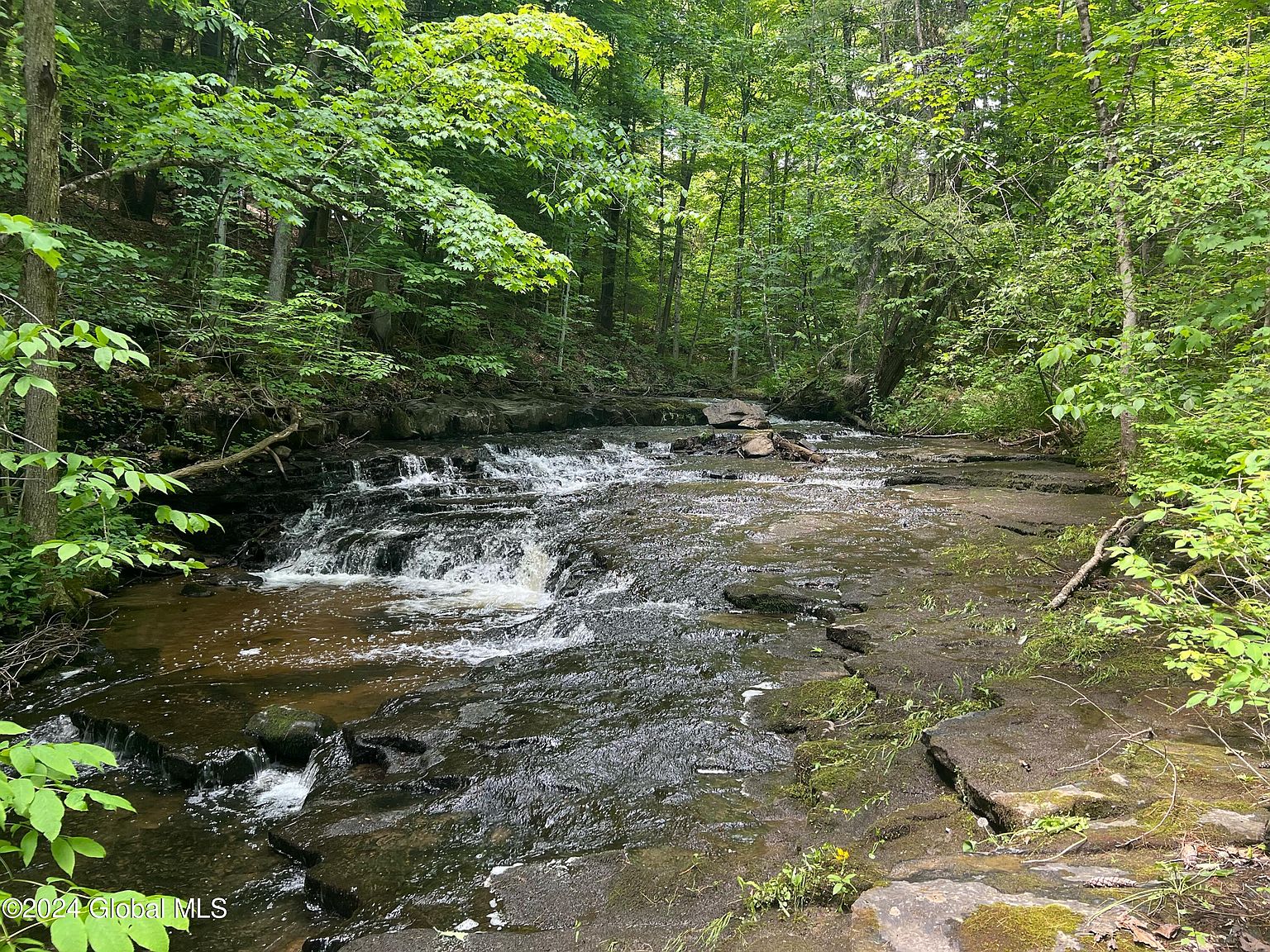 L5.2 Hermance Road, Galway, NY 12074 Zillow