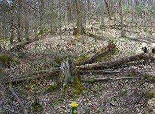 120 Hollow Tree Rd, Banner Elk, NC 28604