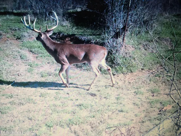 1 Farr Rd, Bolton, MS 39041