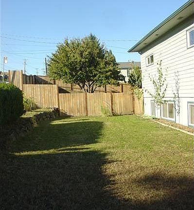 back yard