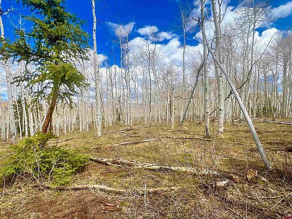 3rd image of Lot 43 San Juan Vista