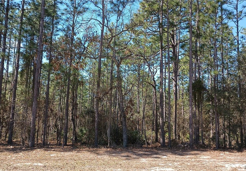 1st image of 5028 N Pink Poppy Dr