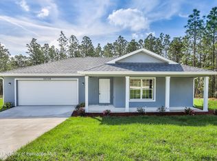 12338 Snowy Egret Ave, Weeki Wachee, FL 34614
