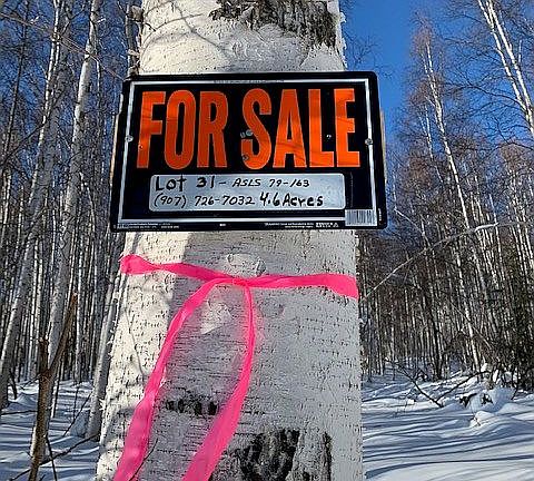 2nd image of Goldstream Alaska Subdivision Lot 31