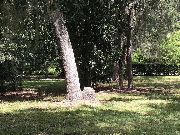 4th image of 2250 Mimosa Ln