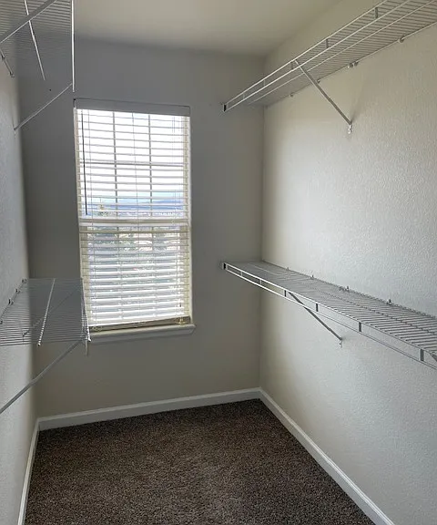 940 Burning Bush Point — Photo 24
