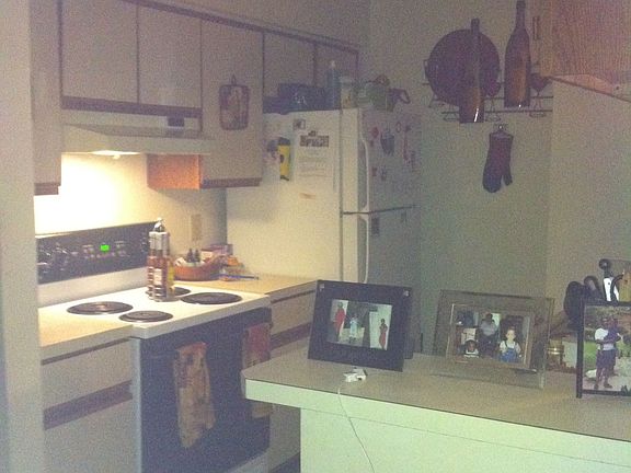 3rd image of 539 Pineland Cir APT 204