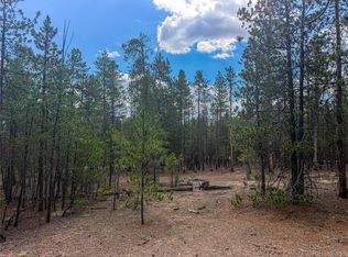 569 Birch Drive LOT 448, Leadville, CO 80461