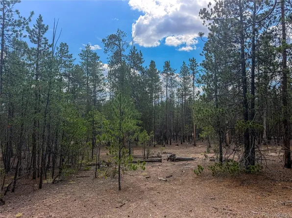 569 Birch Drive LOT 448, Leadville, CO 80461