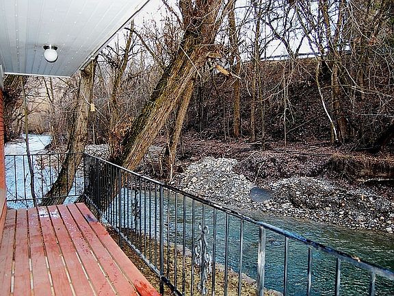 Winter, forest across river