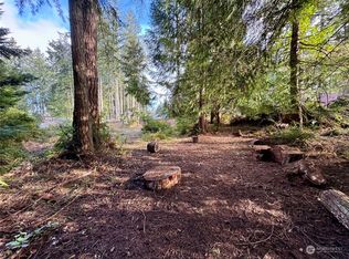 10123 Lake Florence Pl, Anderson Island, WA 98303