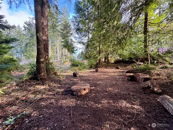10123 Lake Florence Place, Anderson Island, WA 98303