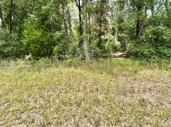 County Road 349, O'Brien, FL 32071