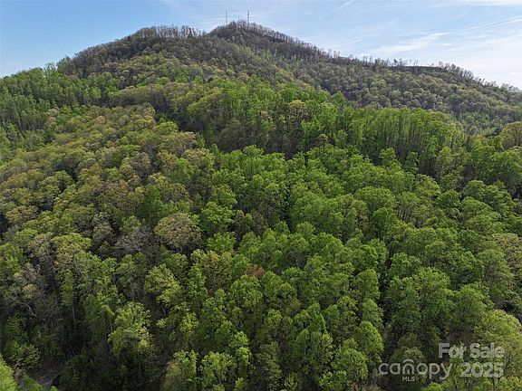 4th image of 58 Ashewood Mountain Way