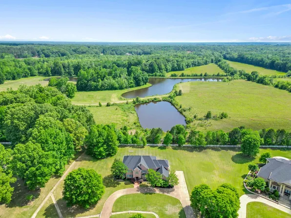 10491 Graybourne Dr, Eads, TN 38028