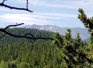 LOT 746 Texas Dr LOT 746, Idaho Springs, CO 80452