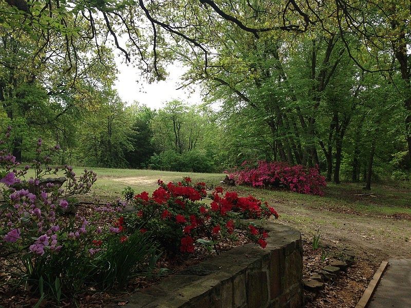 Front Flowerbed in the Spring