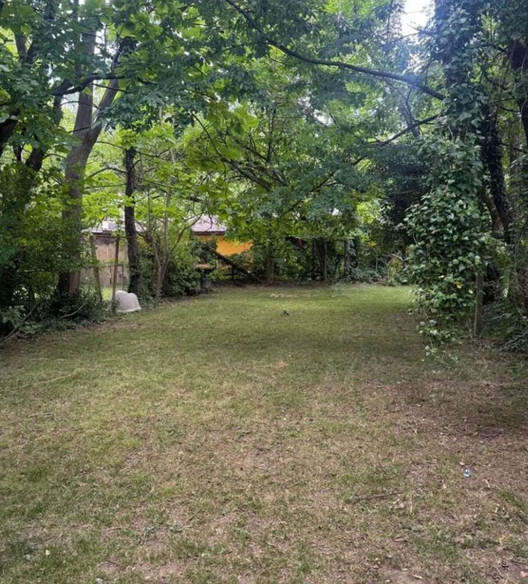 2 bed, 780 sqft, $950 — Photo 2