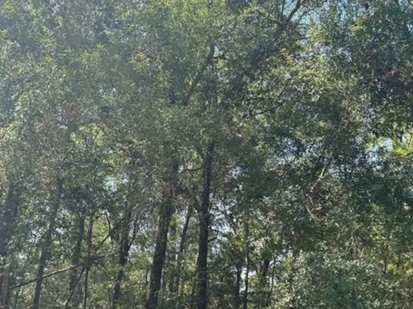 0 Forester St, Livingston, TX 77351