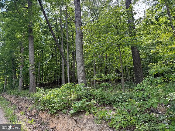 3rd image of LOT 1 Crow Dr