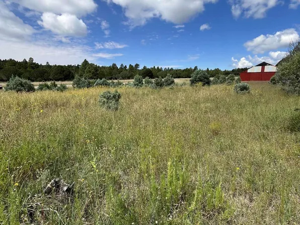 90 Merlin Dr, Timberon, NM 88350