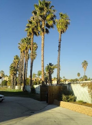 Backyard / Parking