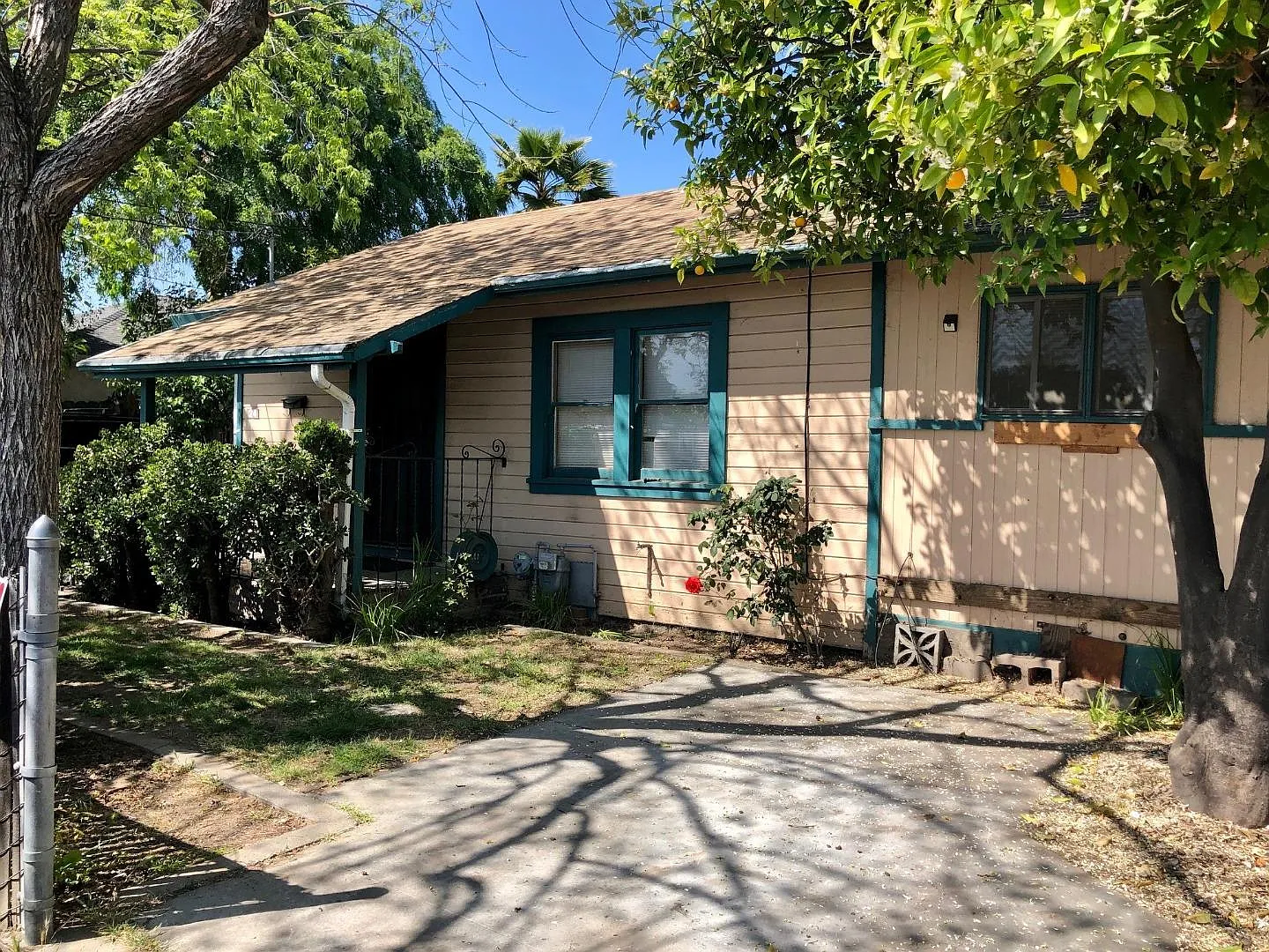 24 Millar Ave photo 1