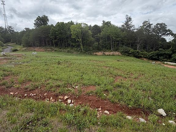 3rd image of 0 Bear Ln