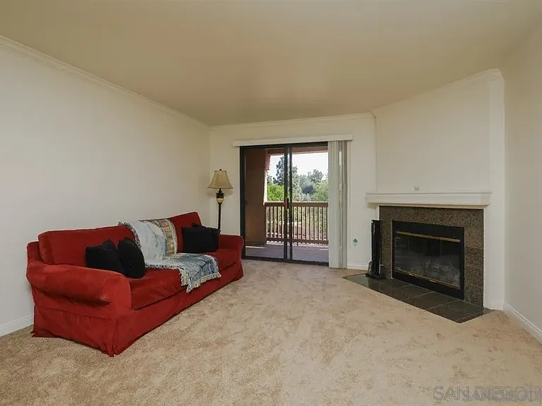 12019 Alta Carmel Ct #272 — Photo 3