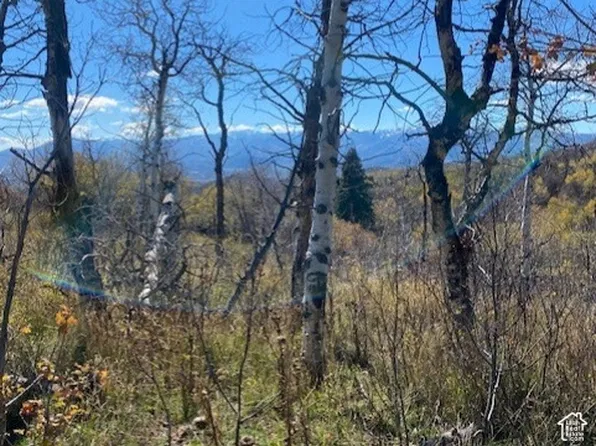 509 W Artist Point Dr, Coalville, UT 84017