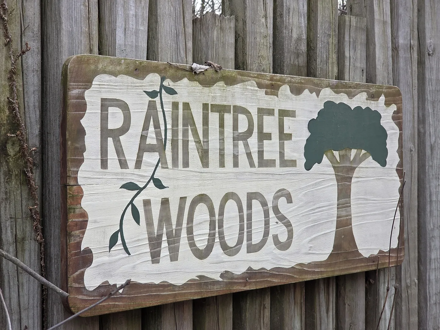 LOT 9 Raintree Woods Dr photo 1