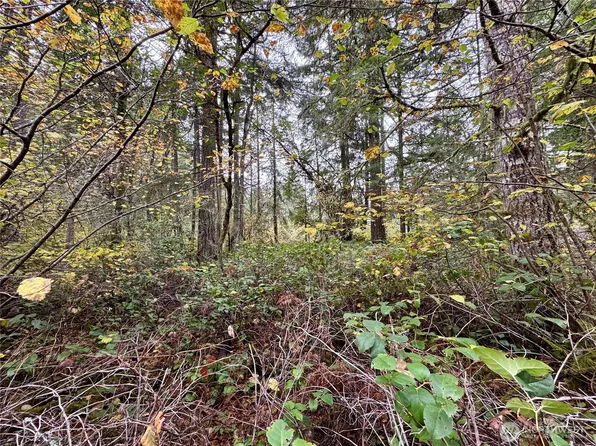 10824 Madrona Drive, Anderson Island, WA 98303