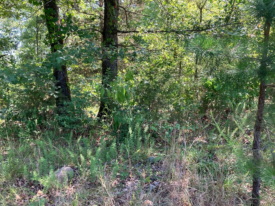 1st image of 2166 County Road 3091