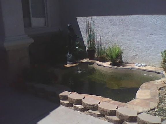I designed and installed  this Koi Pond