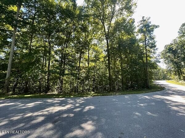 2nd image of 0 Coves Pointe Rd