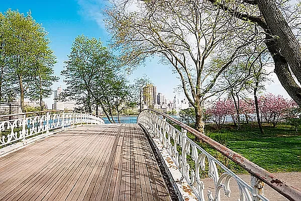 Rented by Rachel Realty | media 19