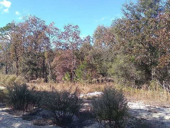 2nd image of 92 Northeast Ct #76