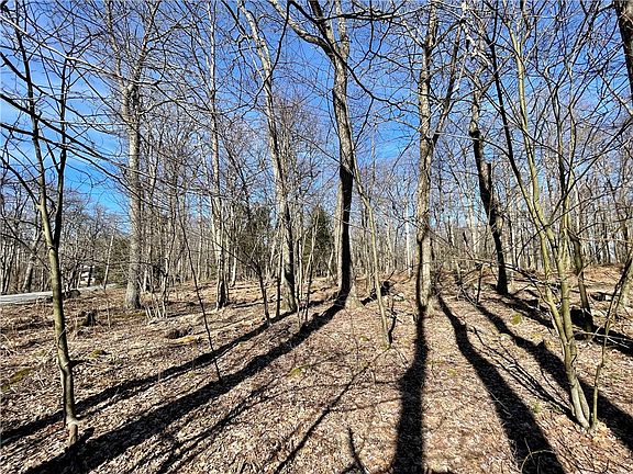 3rd image of 13-14 Laurel Summit Rd #15