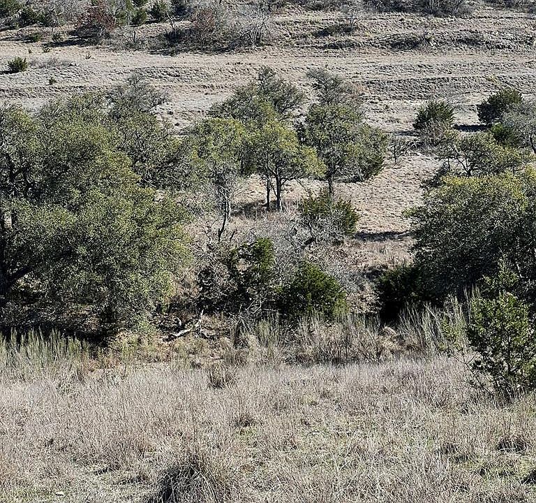 1st image of 2985 Maenius Rd