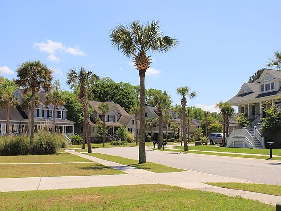 Palm tree lined streets