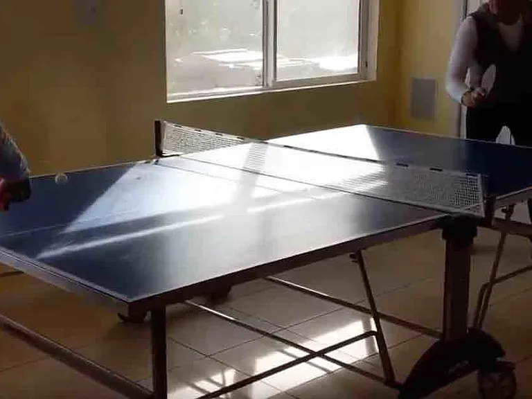 Indoor/outdoor ping pong table