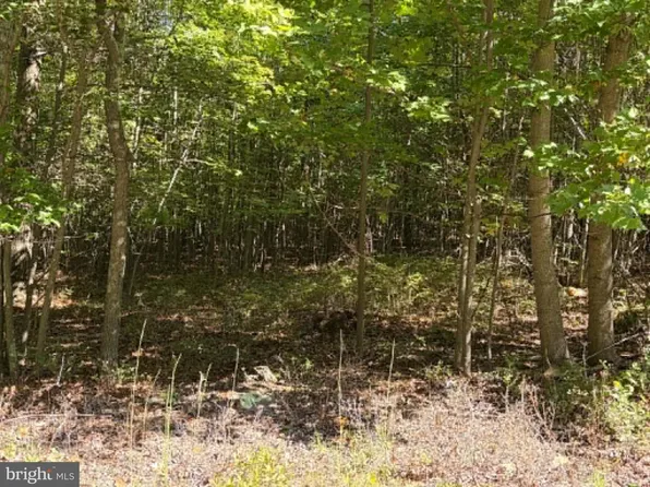 669 Capon Woods Resort Rd Lot 19, High View, WV 26808