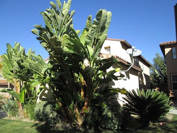 2nd image of 392 Avenida La Cuesta