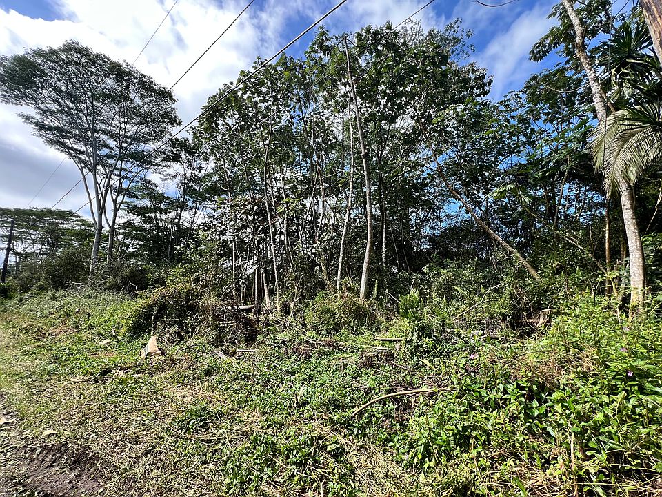 1st image of Mauna Kea Rd Lot 471