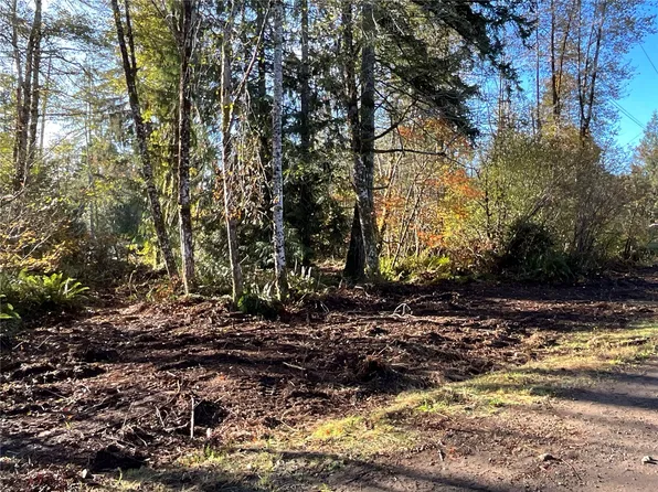 11 X W Hamma Hamma Drive, Elma, WA 98541