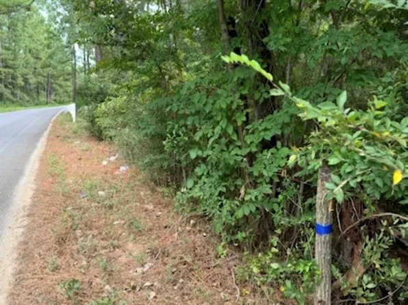 0 Pinebrook Dr Lot 77, Plantersville, TX 77363